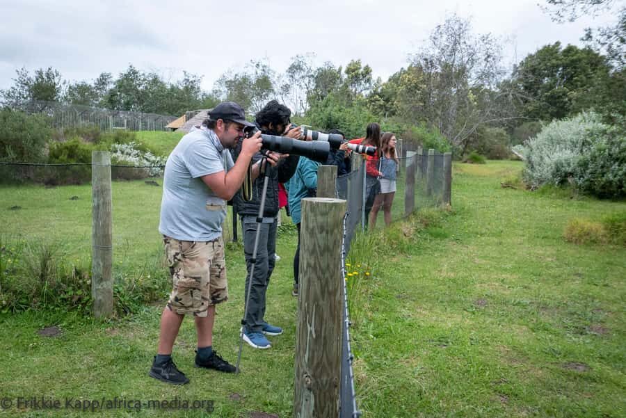 Plettenberg Bay: Private Guided Wildlife Photography Tour - Price and value: what you’re paying for in a 2-hour private tour