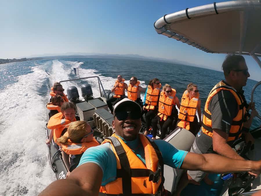 Plettenberg Bay: Seal Colony Viewing Excursion - Planning Your Plettenberg Bay Seal Trip: What You’re Really Buying
