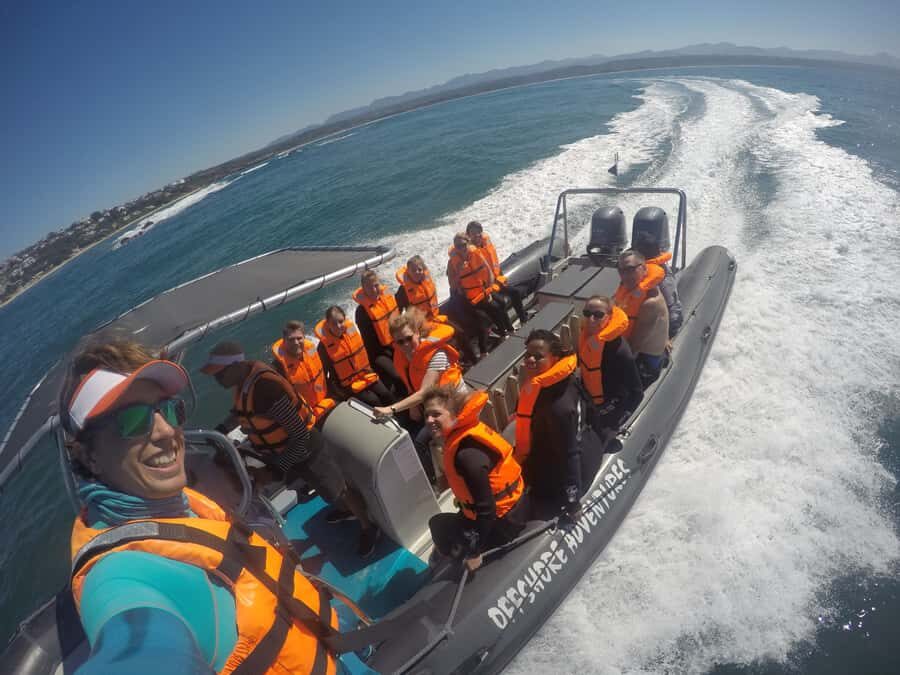 Plettenberg Bay: Seal Colony Viewing Excursion - Your Seal Viewing Window at Robberg Marine Protected Area