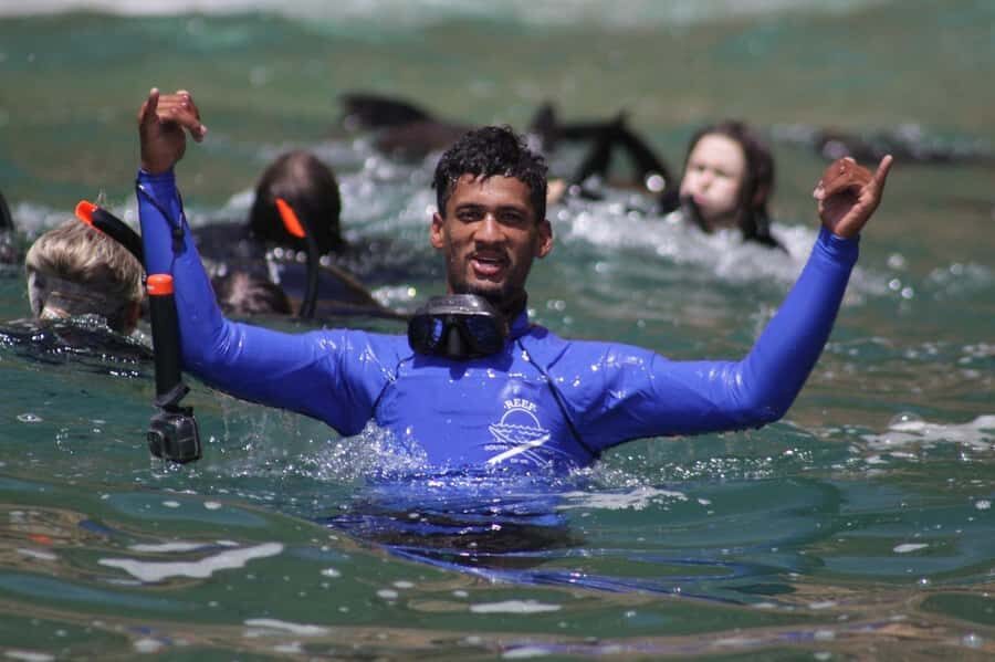 Plettenberg Bay: Seal Swimming Experience - Hobie Beach Meet-Up: You’ll Know Where to Go Fast