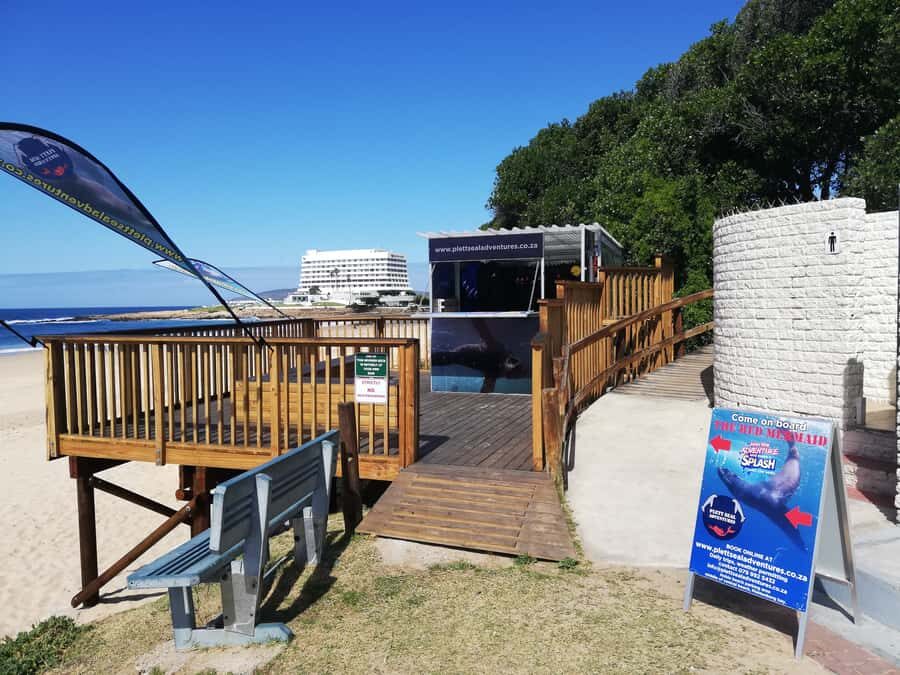 Plettenberg Bay: Seal Swimming Experience - 20–25 Minutes in the Water: What the Swim Feels Like
