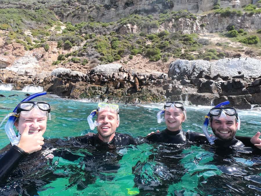 Plettenberg Bay: Seal Swimming Experience - Seal Etiquette and Safety Stuff You’ll Actually Use