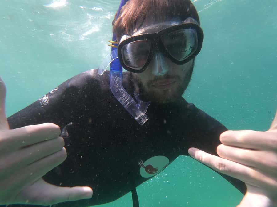 Plettenberg Bay: Seal Swimming Experience - Guides, Gear, and the Photo Download Bonus (Yes, It’s a Big Deal)