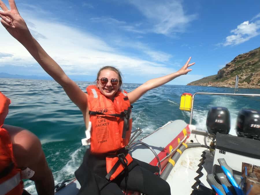 Plettenberg Bay: Seal Swimming Experience - Price and Value: About $61 for 90 Minutes