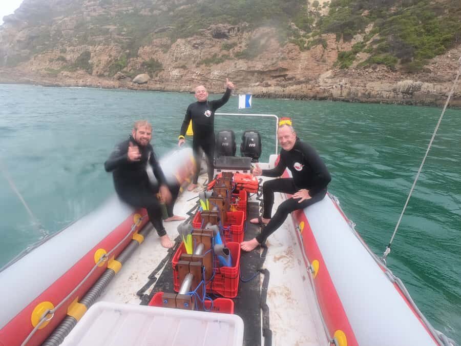 Plettenberg Bay: Seal Swimming Experience - The Boat Ride to Robberg’s Cape Fur Seal Colony