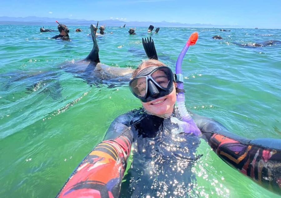 Plettenberg Bay: Seal Viewing Boat Trip - Weather, timing, and what to do when plans change