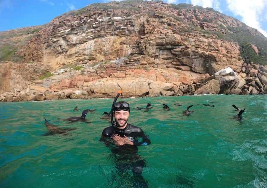 Plettenberg Bay: Swim with the Seals - Booking Tips That Actually Help