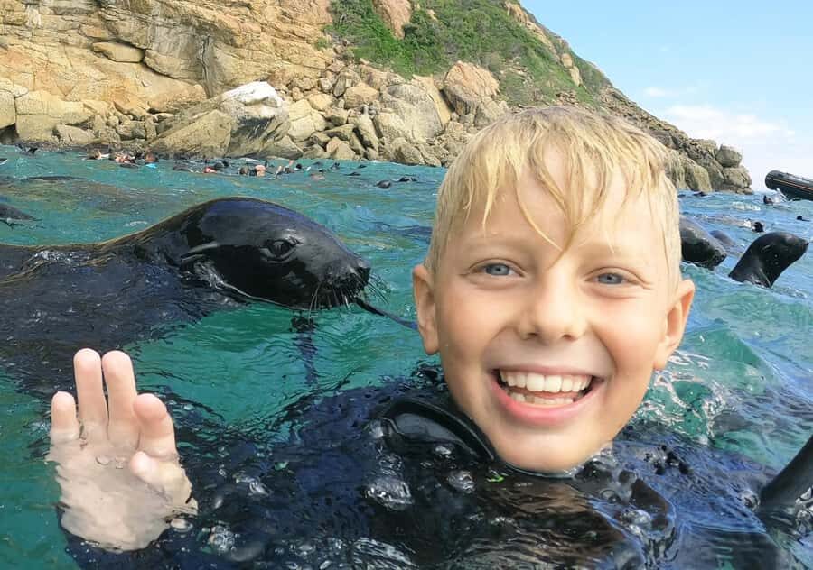 Plettenberg Bay: Swim with the Seals - The Robberg Boat Cruise: Exciting Views, Real Water Conditions