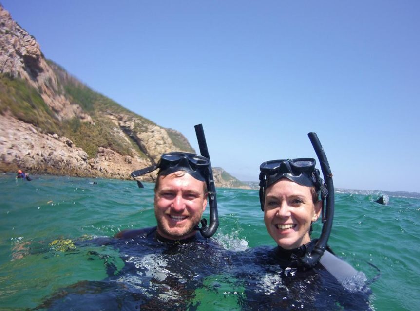 Plettenberg Bay: Swim with the Seals - In the Water: Your 30 Minutes With Cape Fur Seals