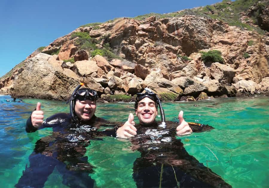 Plettenberg Bay: Swim with the Seals - The Rabies Update and How the Operator Handles Risk
