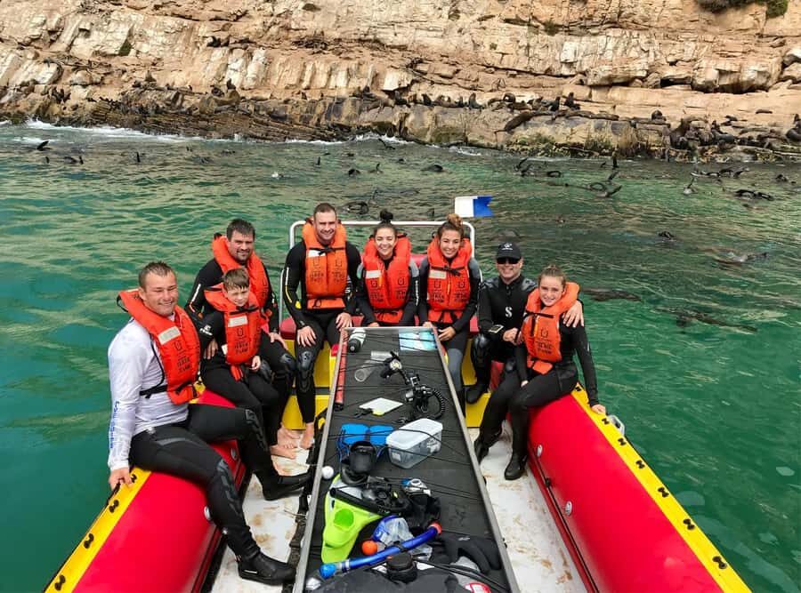 Plettenberg Bay: Swim with the Seals - Price and Value: Is It Worth $61?