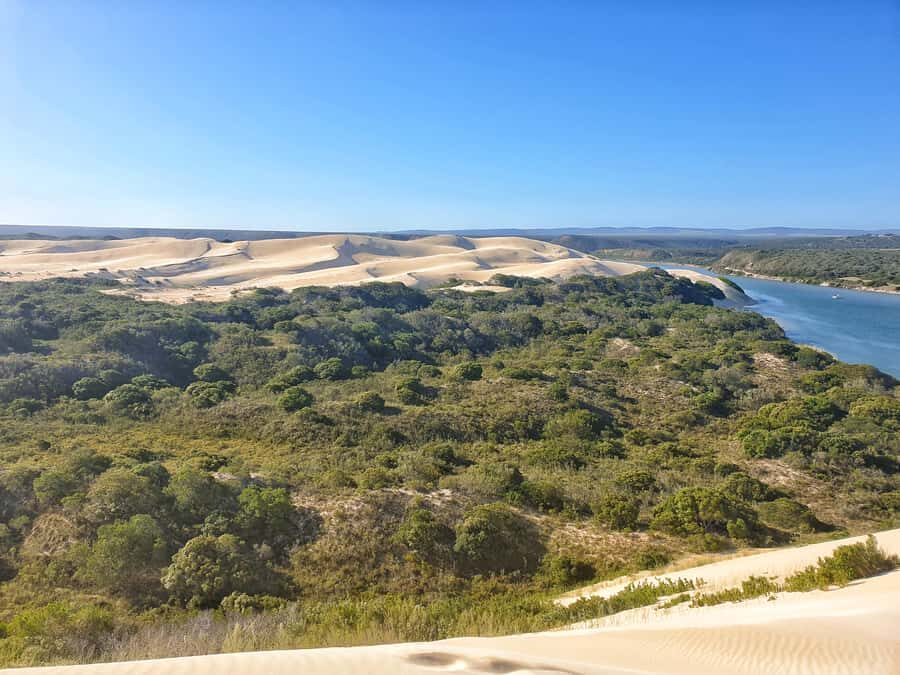 Port Elizabeth: 2-Day Addo Elephant Park Safari - Addo Elephant Park: Why This Safari Works in Real Life