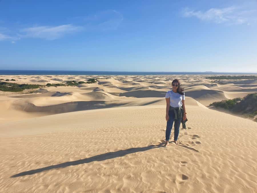 Port Elizabeth: 2-Day Addo Elephant Park Safari - Where You Sleep: 4-Star Comfort After Safari Hours