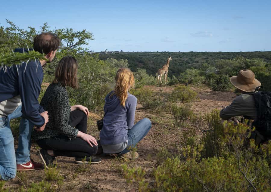Port Elizabeth: 2-Day Addo Elephant Park Safari - Guides and Small-Group Size: Why Max 12 Matters