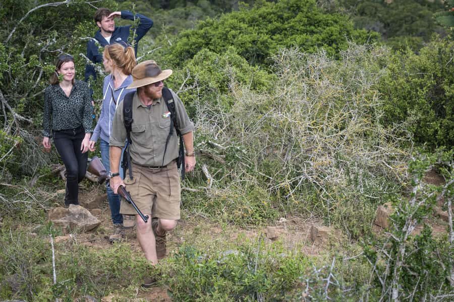 Port Elizabeth: 2-Day Addo Elephant Park Safari - Big Five Expectations: How to Think About Lions and Rhinos