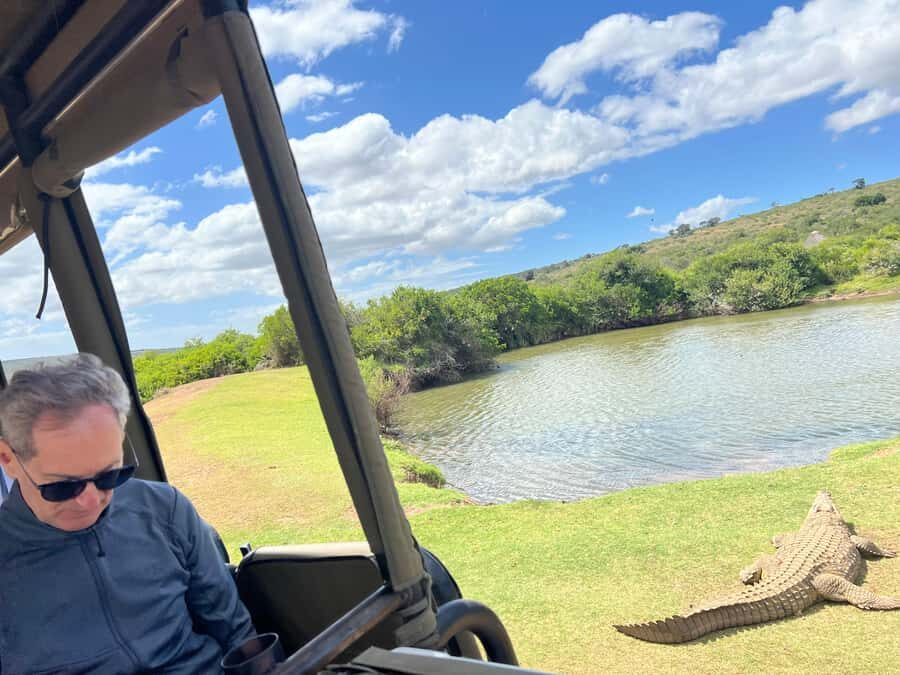 Port Elizabeth: 3-Day Addo Elephant National Park Safari - Key takeaways before you go