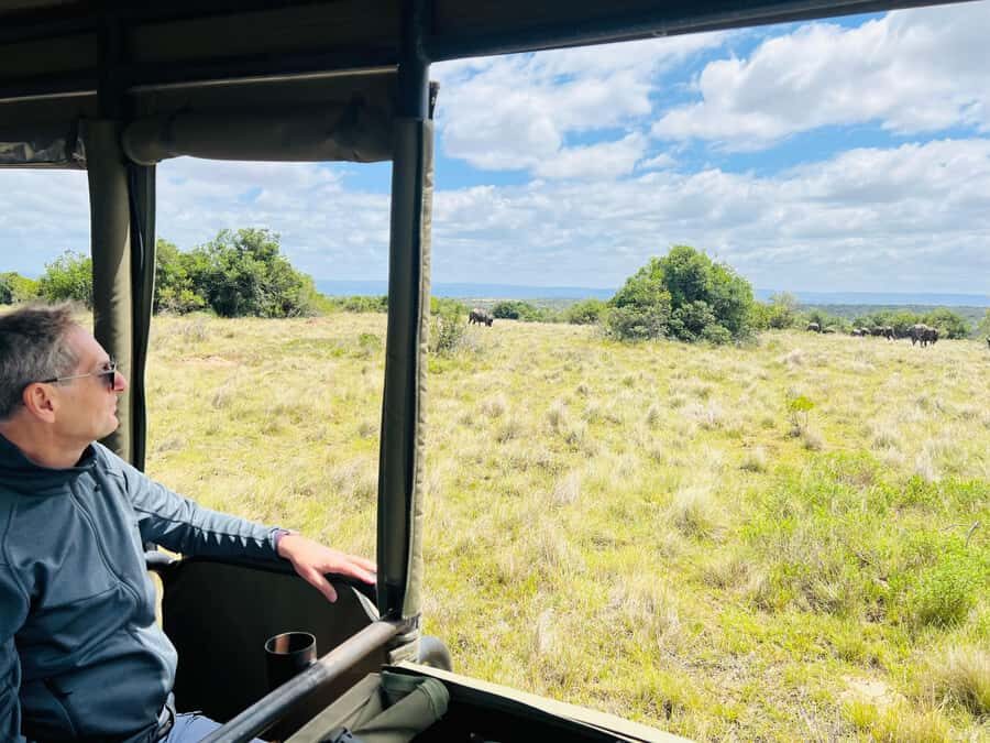 Port Elizabeth: 3-Day Addo Elephant National Park Safari - Why Addo Elephant National Park works so well in 3 days