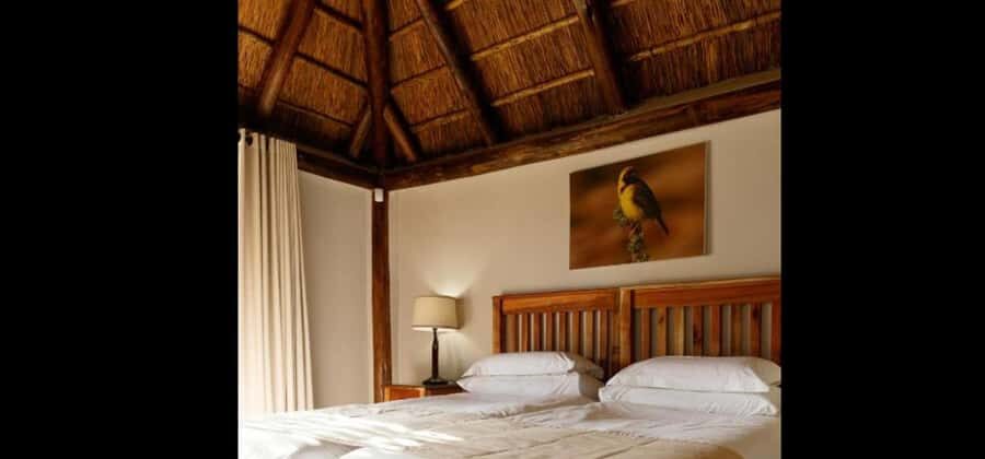 Port Elizabeth: 3-Day Addo Elephant National Park Safari - Who should book this Addo safari (and who might not)