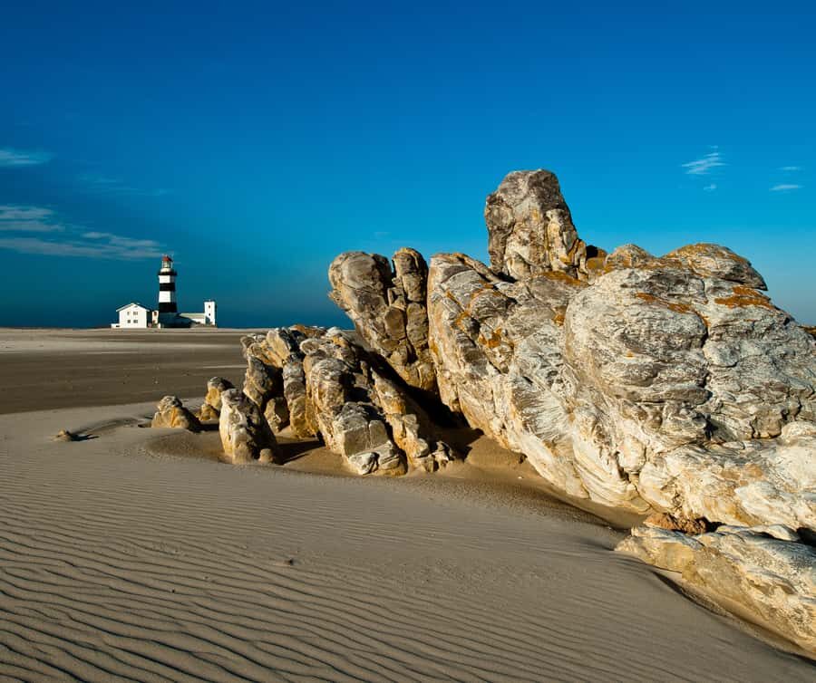 Port Elizabeth: 4x4 Wildlife Safari & City Sightseeing Tour - Cape Recife Lighthouse: coastal drama, guided walks, and a chance to stretch legs