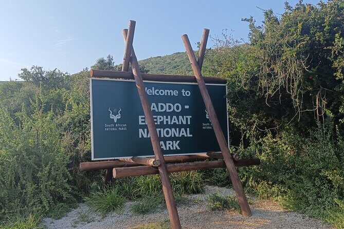 Port Elizabeth Addo Elephant National Park All Inclusive Safari - Notes that matter when you show up