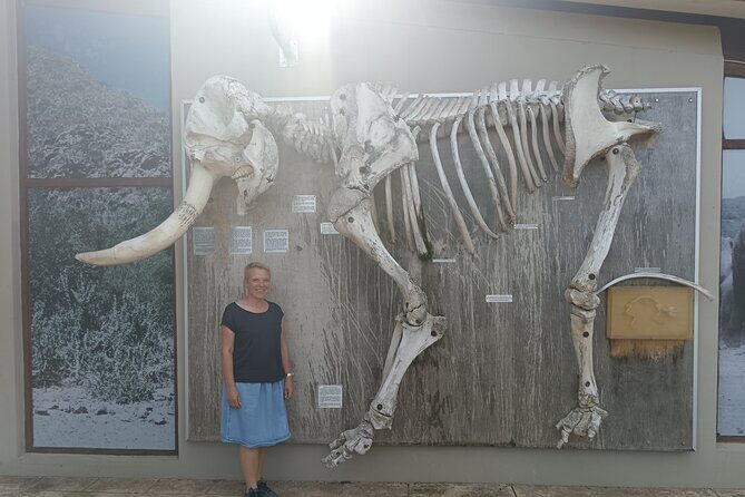 Port Elizabeth Addo Elephant National Park All Inclusive Safari - Price and logistics: is $154.29 worth it?