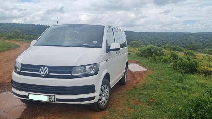 Port Elizabeth: Addo Park Safari with Giraffe Walk and Lunch - What you’ll likely see besides elephants and giraffes