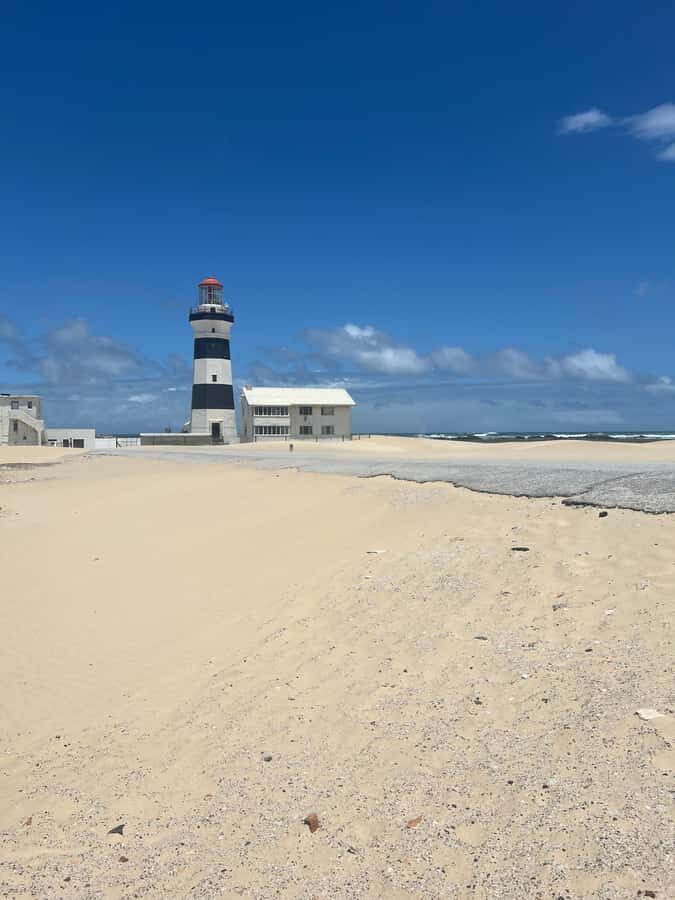 PORT ELIZABETH CITY TOUR - The guide experience: safety, clarity, and pacing with Terrain