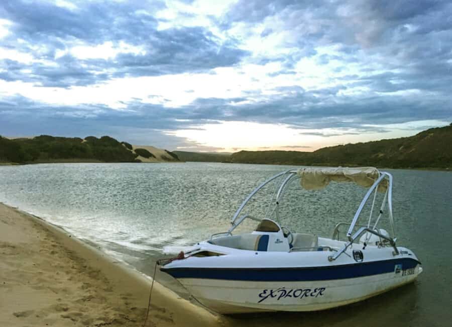 Port Elizabeth: River Cruise on the Sundays River - Birdlife feeding: the easiest wildlife watching you’ll do all trip