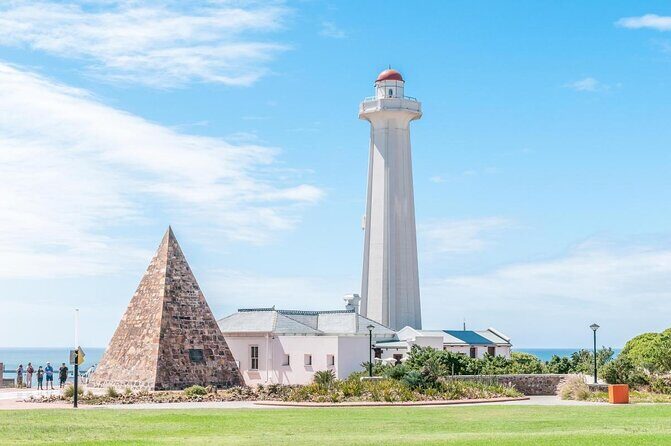 Port Elizabeth Safari and City Tour from Gqeberha - Key highlights to look for