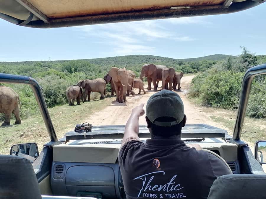 Port Elizabeth: Schotia Private Game Reserve Safari - Break time isn’t filler: coffee, tea, wine, and picnic-style snacks
