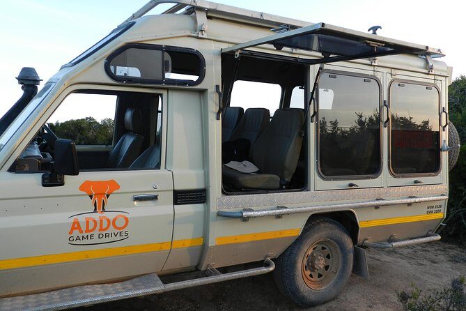 Port Elizabeth Shore Excursion: Addo Elephant Full Day Safari &"Braai"Lunch(BBQ) - Who Should Book This Addo Safari With Braai Lunch, and Who Might Want a Different Style