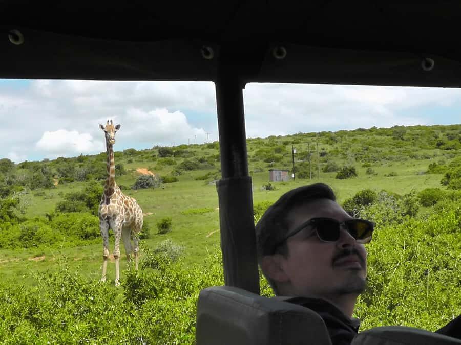 Port Elizabeth:2-Day Schotia Safaris & Addo Wildlife Reserve - Addo and Schotia in two days: why this route works