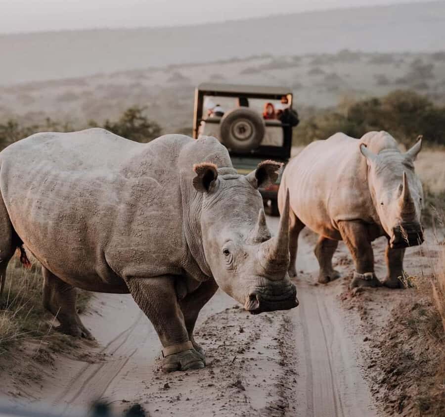Port Elizabeth:Kragga Kamma Private game reserve safari - Key Highlights Worth Your Time