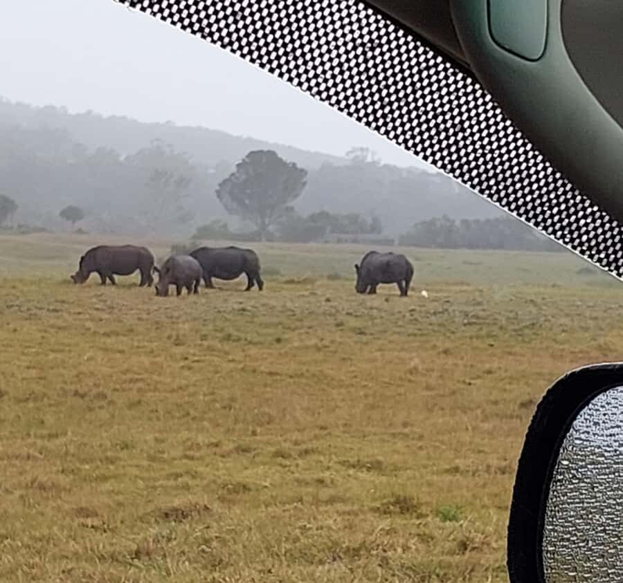 Port Elizabeth:Kragga Kamma Private game reserve safari - Wildlife You Can Actually Plan Around (Not Just Wish For)