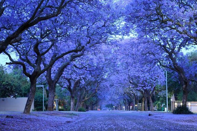 Pretoria Capital City Tour from Pretoria, every TUESDAY - Quick Sights Along Paul Kruger Street and the Station Area