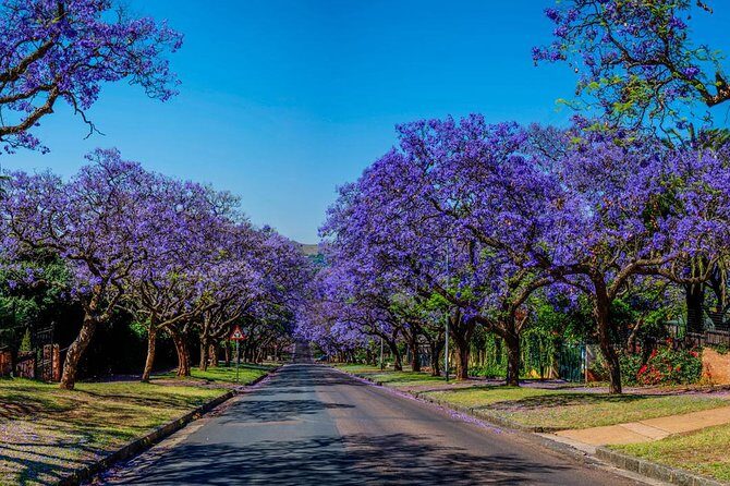 Pretoria City and Diamond Mine Tour - Comfort between stops: Wi‑Fi, vehicle, and staying on schedule
