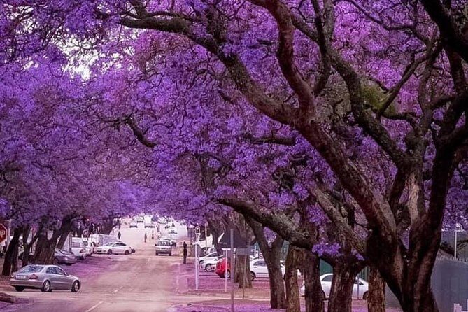 Pretoria City Guided Day Tour - The Value of a Guided Pretoria Day (Not Just a Drive-By)