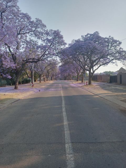 Pretoria half day tour - Passing Pretoria’s CBD: Getting Your Bearings Without Overplanning