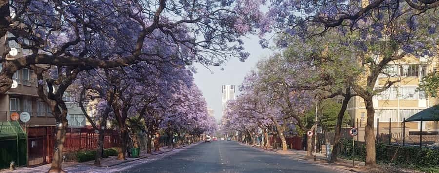 Pretoria: Pretoria City Tour and Cullinan Diamond Mine Tour - Kruger House and Church Square: leadership, symbols, and details you might miss alone