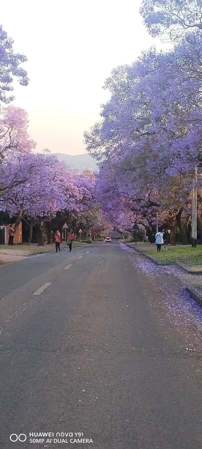 Pretoria: Pretoria City Tour and Cullinan Diamond Mine Tour - Cullinan Mine: the surface tour that turns the Cullinan diamond into a real place