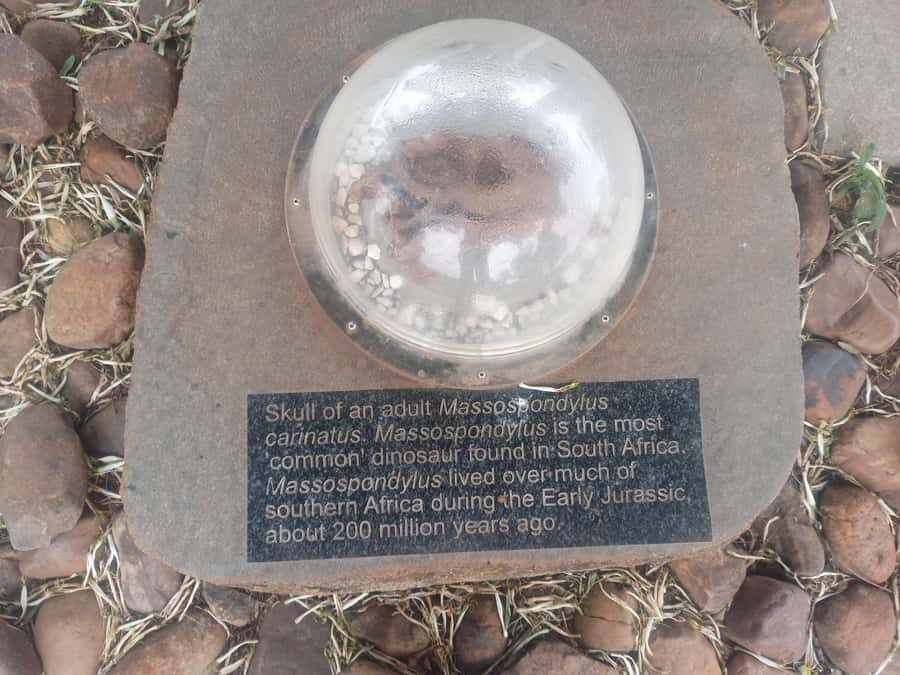 Pretoria/Sandton: Cradle of Humankind & Sterkfontein Caves - Food, comfort, and what you should bring