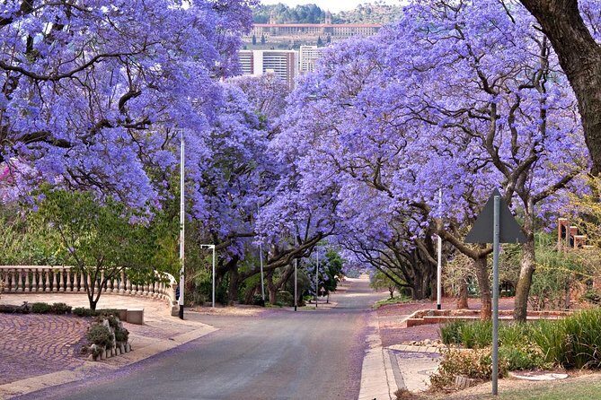 Pretoria Sightseeing Day Trip from Johannesburg - Why Pretoria feels different from Johannesburg in just 4 hours