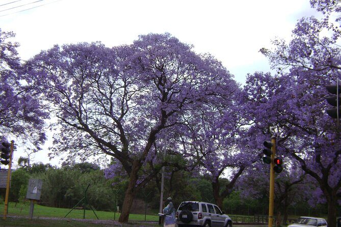 Pretoria tour, Half Day experience - Why the guide can make or break your experience: Francois and Ben