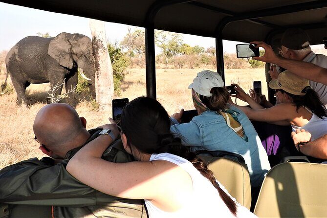 Private 4x4 Safari Tour in Kruger National Park - Key Highlights to Expect