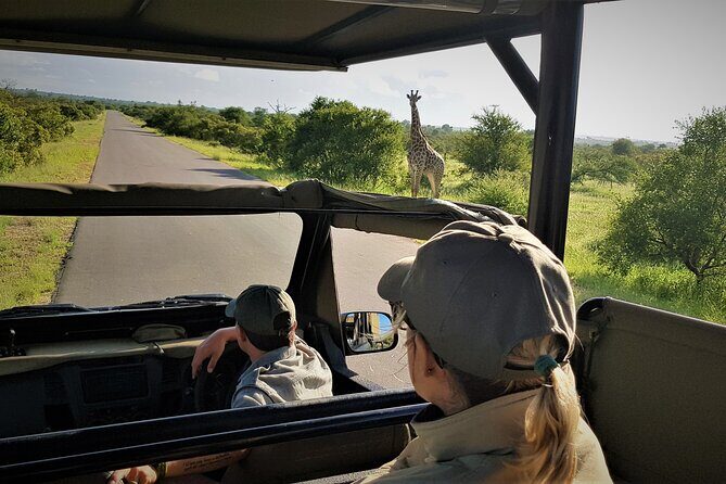 Private 4x4 Safari Tour in Kruger National Park - Price and Value: How $115.63 Stacks Up