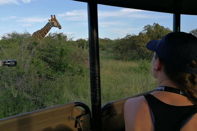 Private 5-Day Overnight Safari In Kruger Park from Skukuza Airport - The Guides Are Part of the Value (And They Matter Here)