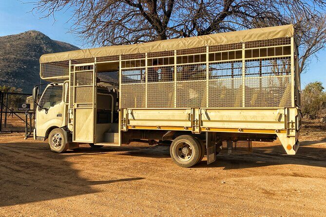 Private 5-Hour Lion Park Tour from Johannesburg or Pretoria - Private Pickup From Johannesburg or Pretoria (and Why It’s Worth It)
