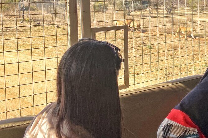 Private 5-Hour Lion Park Tour from Johannesburg or Pretoria - The One-Hour Game Drive: How You Spot More Animals With Less Stress