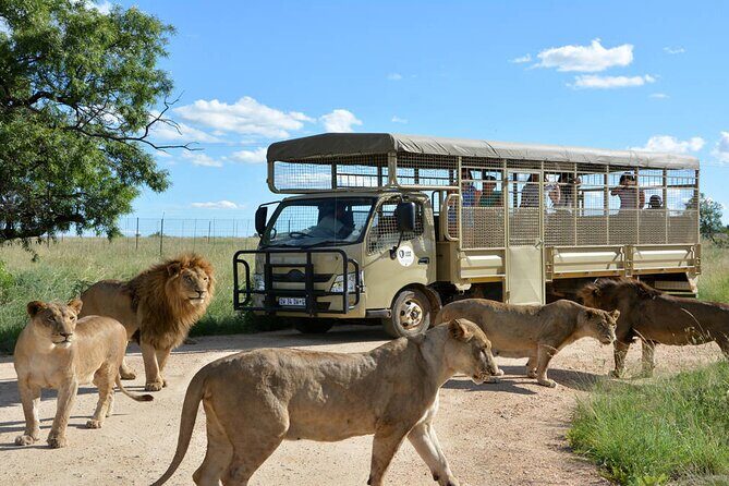 Private 5-Hour Lion Park Tour from Johannesburg or Pretoria - Lion Park Basics: Over 80 Lions and the Star You Came For