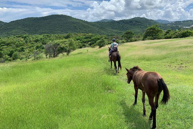 Private Advanced Horseback Beach Ride with Sandy Hoofs St. Lucia - Key Things to Know Before You Ride